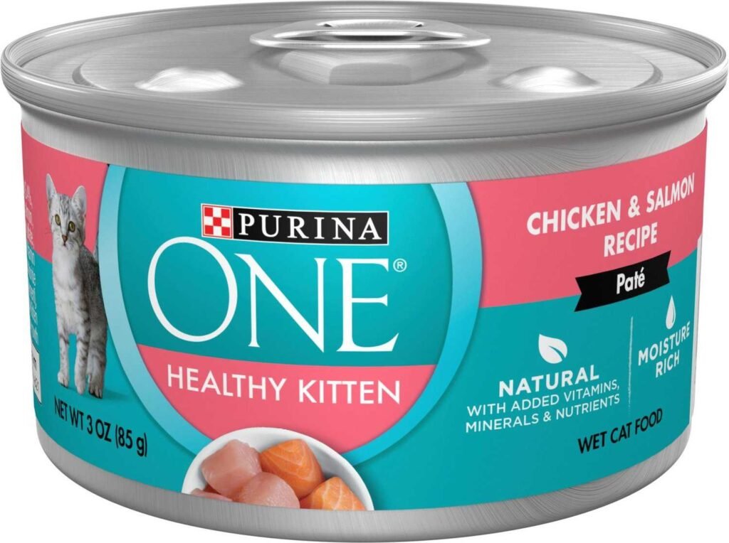 Best Wet Food