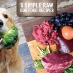 Raw Dog Food Diets