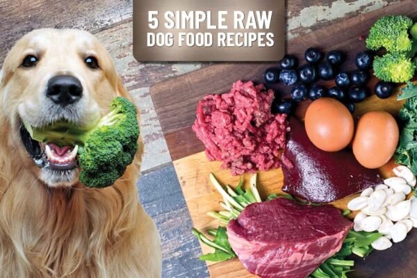 Raw Dog Food Diets