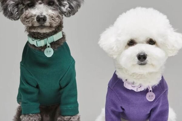 Functional and Fashionable Dog Apparel