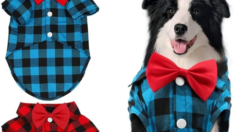 A Dog wearing the Top Dog Formal Wear Brands in 2024
