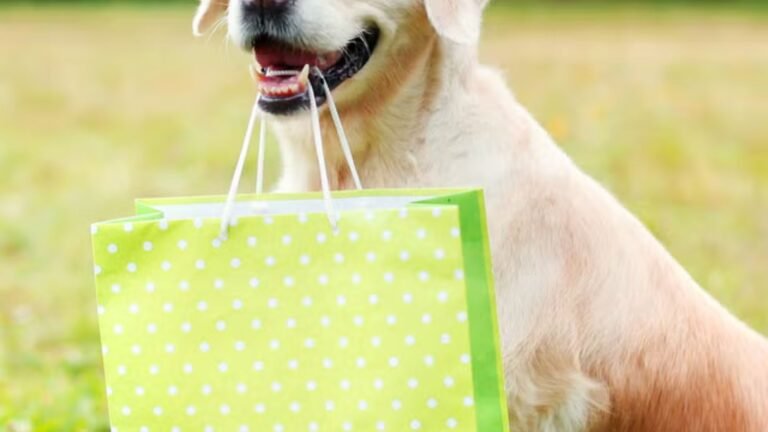 A biting a bag with gifts which are the Top Dog Gifts for Different Breeds
